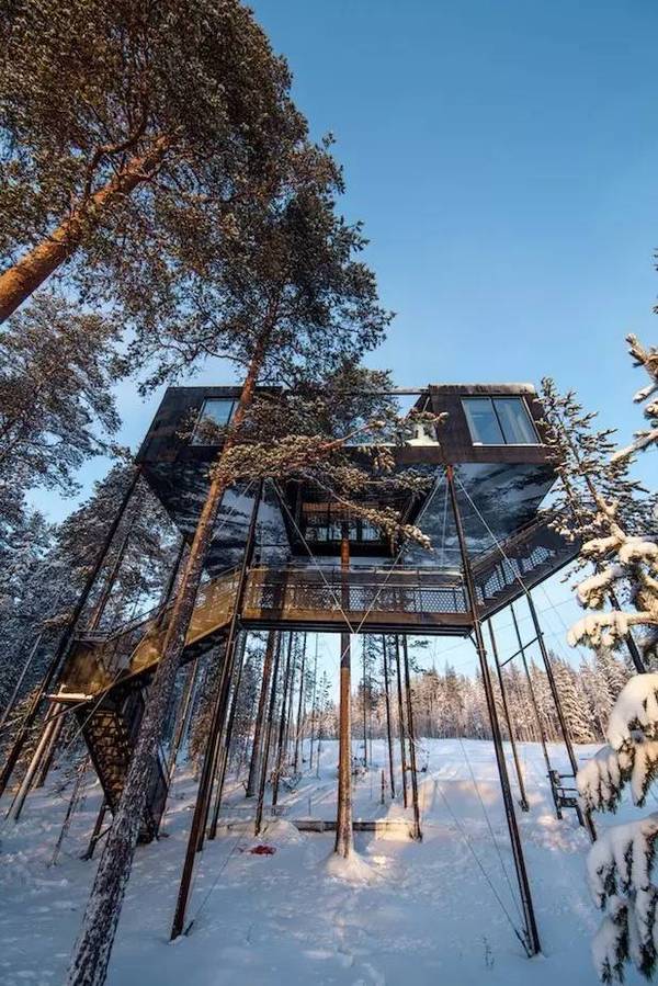住宅设计 | Tree Hotel-睡在星空中的树屋
